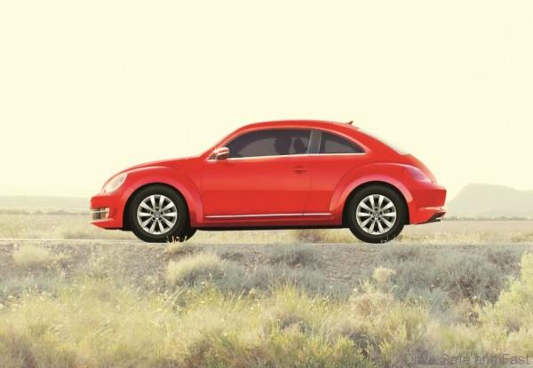 The Beetle_Side view