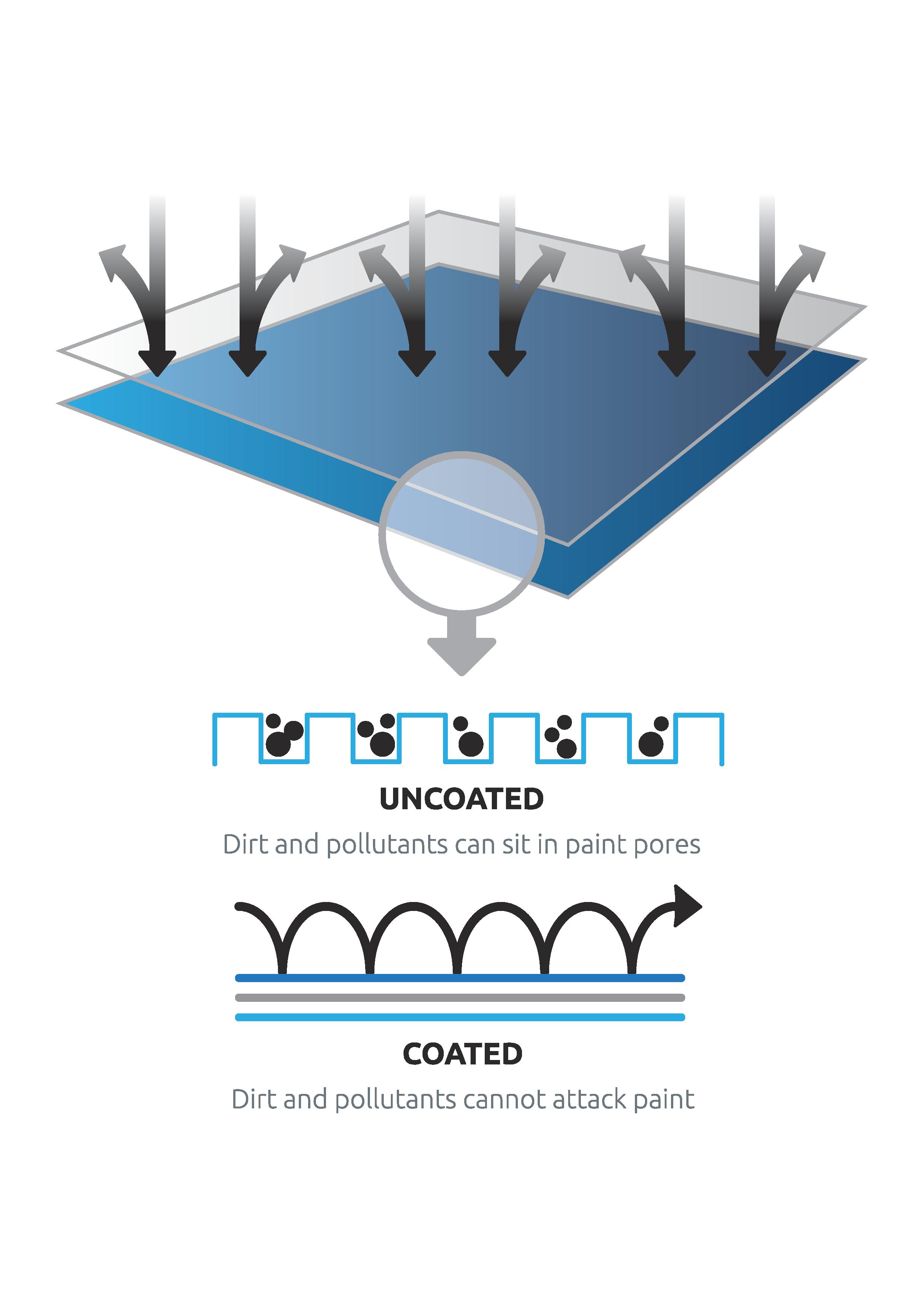 Williams Paint Protection by Federal Auto Sport Tuning Drive Safe and