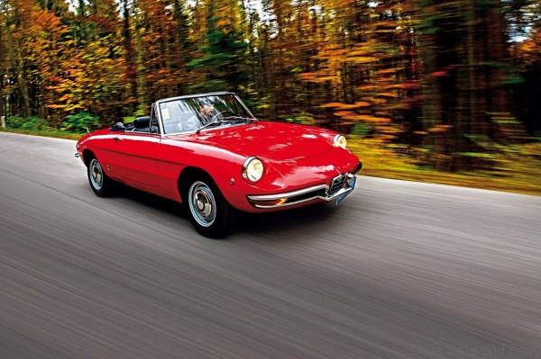 Alfa-spider