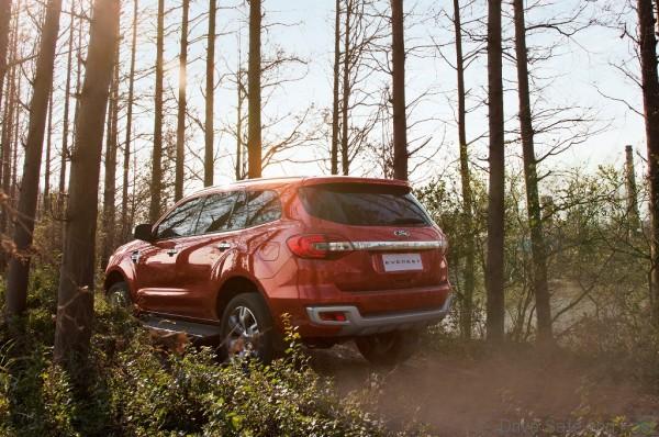 New Ford Everest-Forest