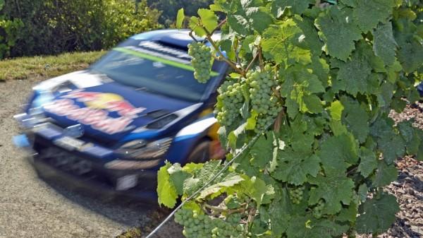 Polo WRC rally Germany Volkswagen 2