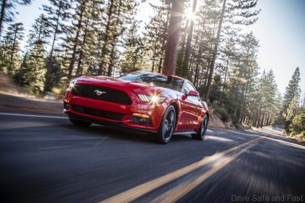 Photo 2 - Mustang