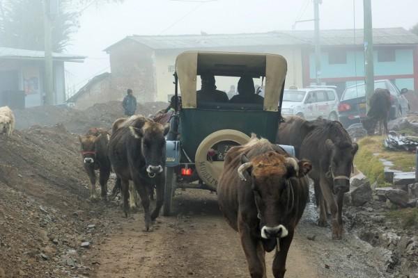 Model T World Tour - P1150942_a