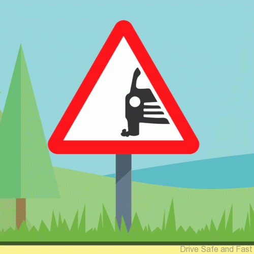 Week of Color_Stone Chips _FINAL