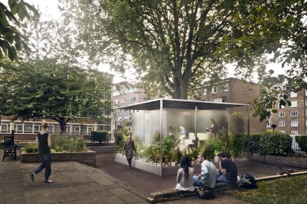 P90231524_highRes_mini-living-forests-