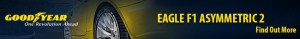 Goodyear f1 650x85(DSF)