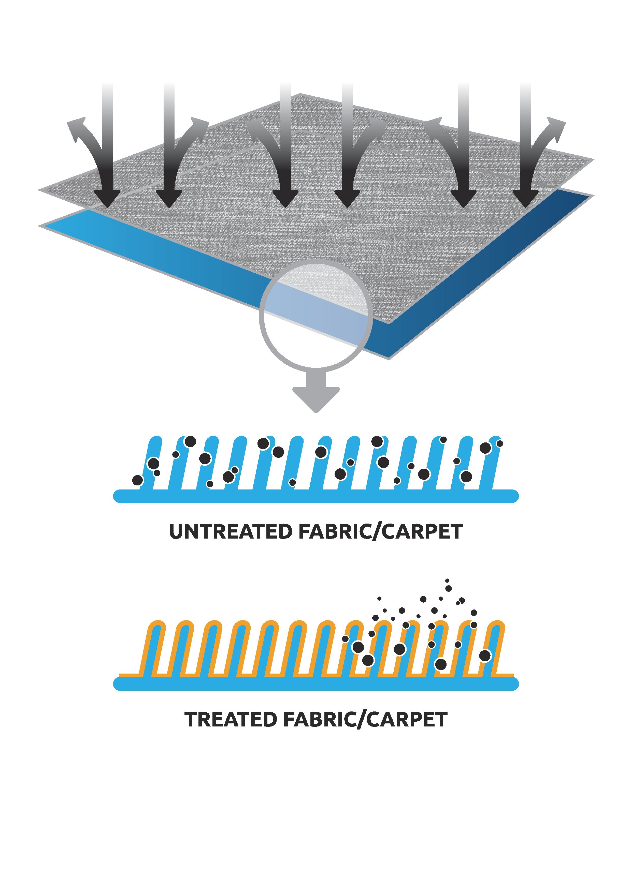Williams Paint Protection by Federal Auto Sport Tuning Drive Safe and