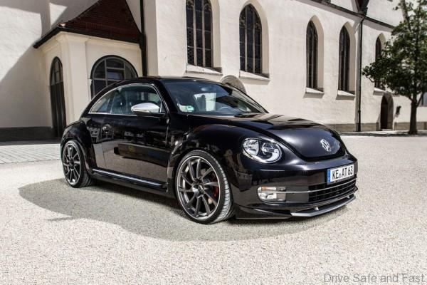 ABT_Beetle_12
