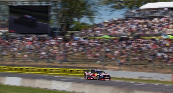 V8 SUPERCAR CHAMPIONSHIP NEW ZEALAND