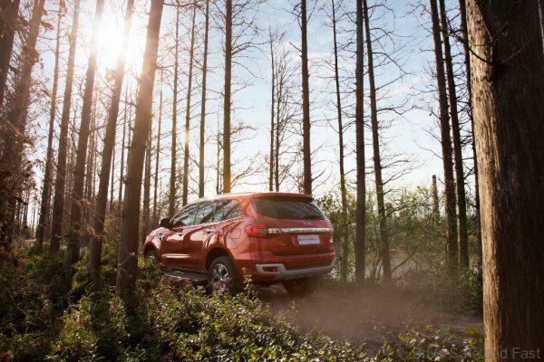 New Ford Everest_Forest