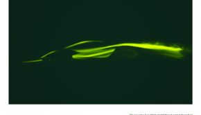 Perodua Narrows the Demand Gap for the Aruz  DSF.my