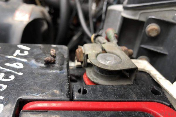 Rats in your car engine bay