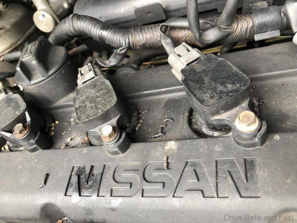 Rats in your car engine bay