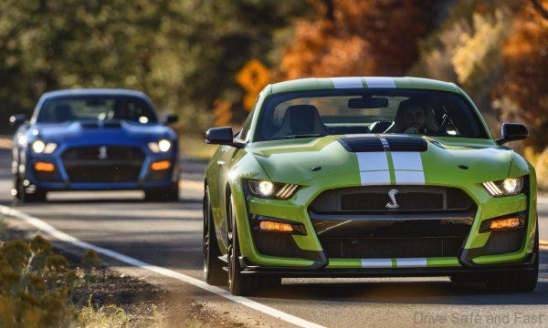 Ford Shelby 2020