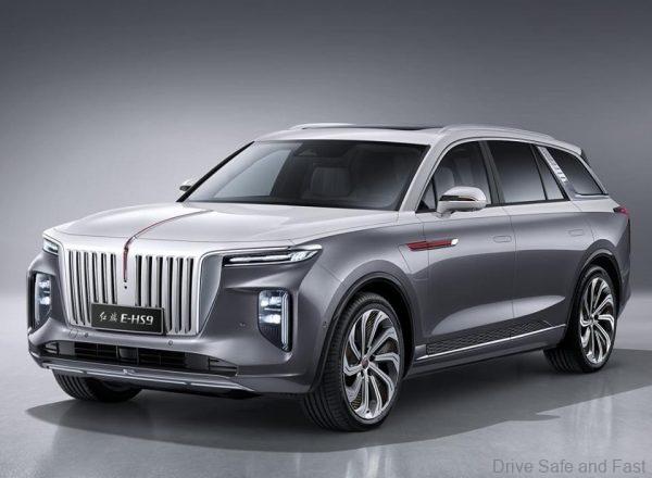Hongqi E-HS9_grey two tone