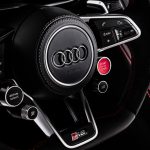 Small-8034-2021R8RWDPantherEdition