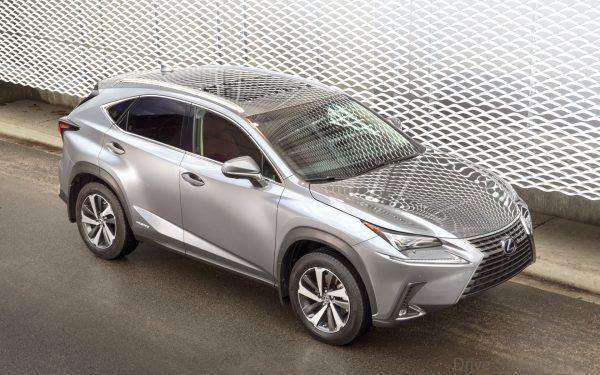 Lexus NX SUV_2020 model