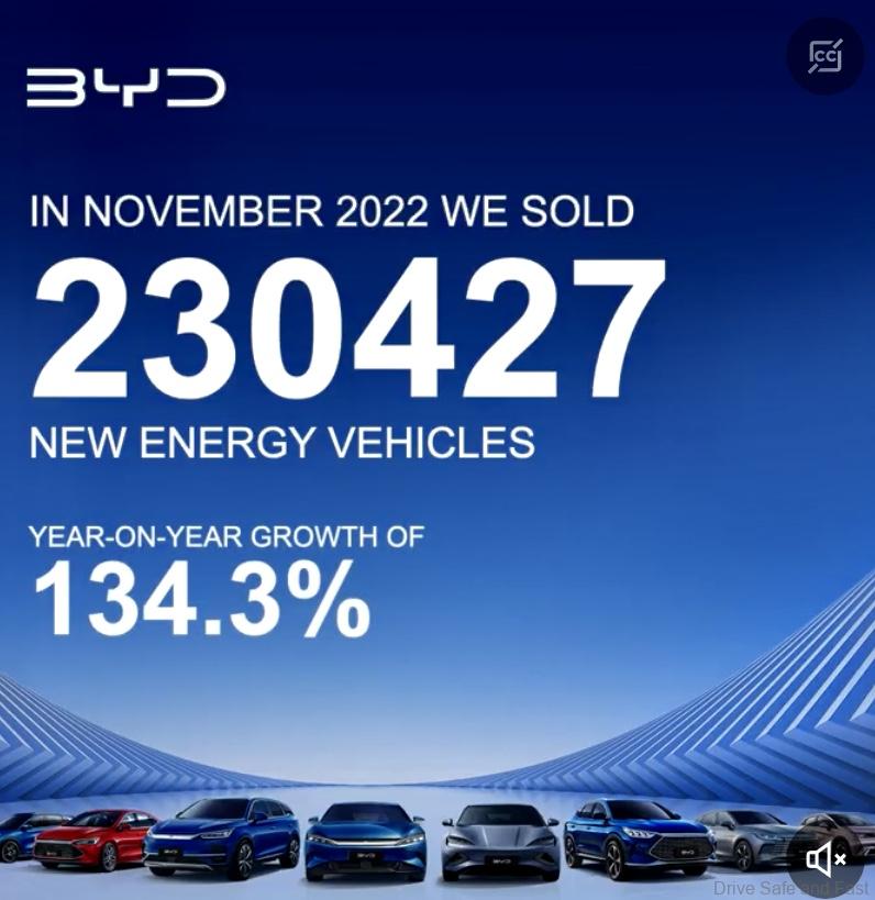 BYD Sales